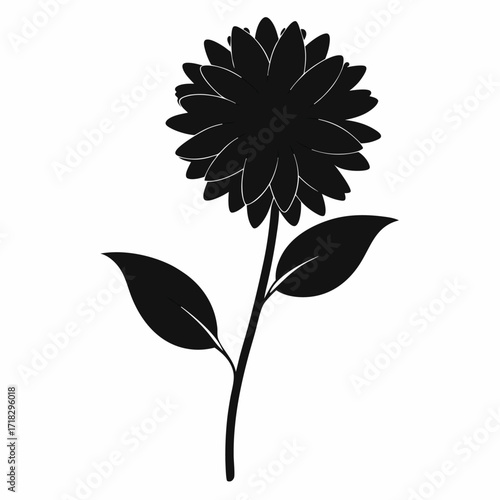 Elegant Aster Flower Silhouette Illustration on a Clean White Background Design