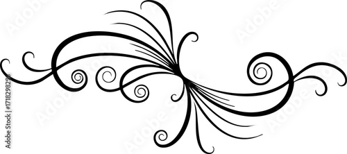 Фотография Elegant black scrollwork flourish design adds decorative flair to invitations, stationery, and digital projects, enhancing visual appeal