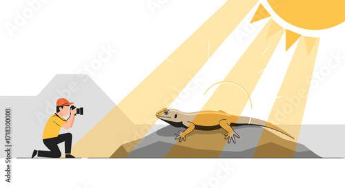 Photographer Captures Lizard Under Sunlit Rays: A Wildlife Photography Illustration