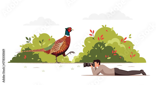 Photographer Captures Majestic Pheasant in Natural Environment with Greenery Scenery