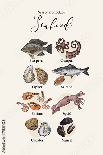 Vector poster with colorful hand drawn illustrations of seasonal seafood: sea perch, octopus, oyster, salmon, shrimps, squid, cockles, and mussels. Botanical and culinary style artwork with line and c
