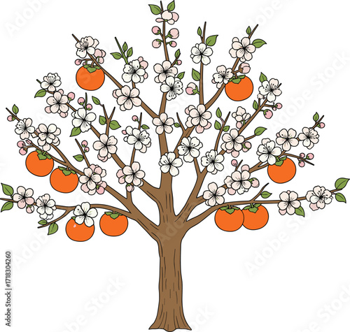 Spring tree, blooming blossoms, orange fruits, nature beauty, seasonal growth, vibrant flora, botanical illustration, garden freshness