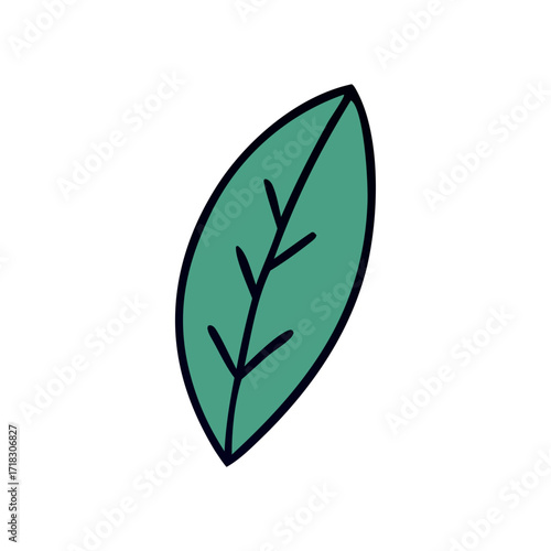 Simple green leaf vector graphic