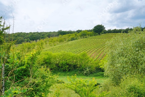 Landschaft Toskana