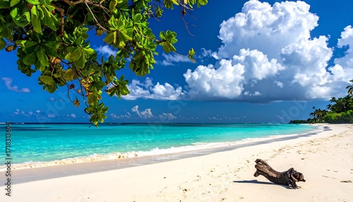 Tropical beach paradise