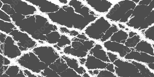 Vintage black and white leopard fur texture with a seamless geometric mosaic pattern. tile, vector, decoration, stone, illustration, wall, lace, ornament, nature, element, floor, leaf