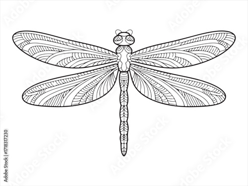 Intricate Dragonfly Drawing with Decorative Wings in Line Art Style