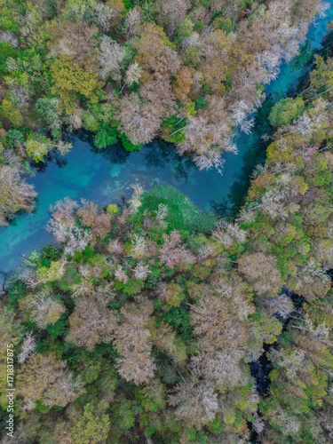 Looking down on the Blue Waters of Florida
