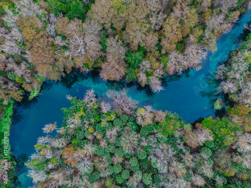 Mornings on the Spring Run