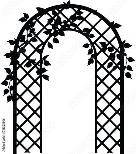 Garden Trellis Vine Silhouette | Trellis with Vine Vector
