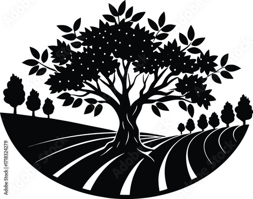 Olive Grove Silhouette | Olive Tree Grove Vector