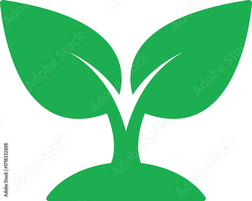 Green plant growth in ground