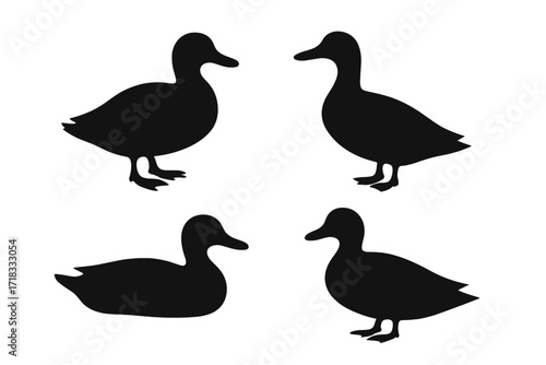 Silhouetted Ducks in Classic Pond Poses