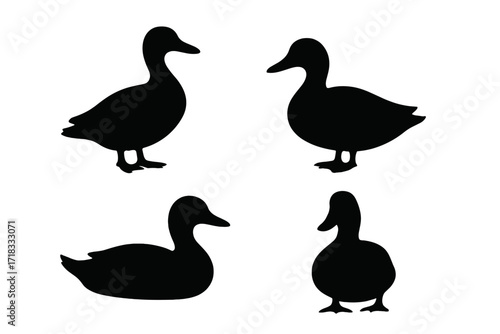 Silhouetted Ducks in Classic Pond Poses