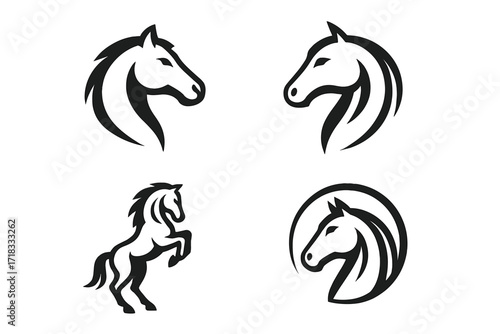 Elegant Horse Heads in Profiles