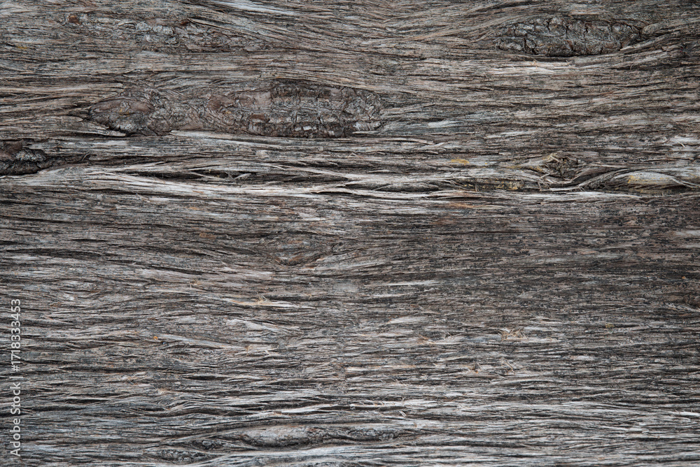 Fototapeta premium Natural seamless weathered wood grain texture for background