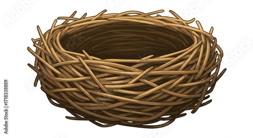 Empty bird nest