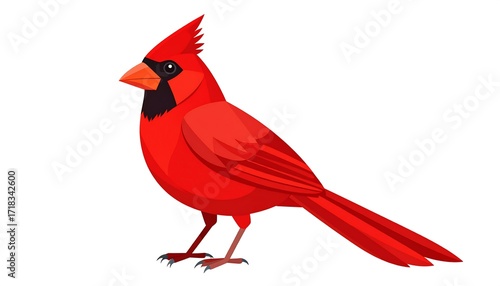 Red bird profile