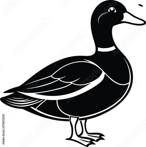 mallard-duck-flat-clean-vector--pastel-background