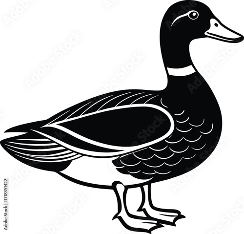 mallard-duck-flat-clean-vector--pastel-background