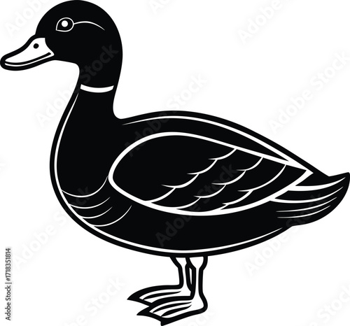 mallard-duck-flat-clean-vector--pastel-background