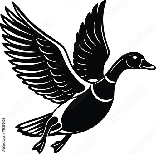 mallard-duck-flat-clean-vector--pastel-background