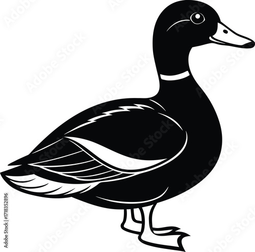 mallard-duck-flat-clean-vector--pastel-background