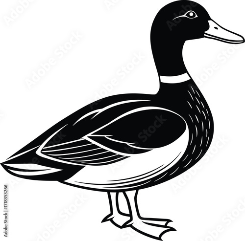 mallard-duck-flat-clean-vector--pastel-background