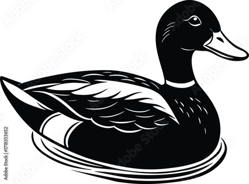 mallard-duck-flat-clean-vector--pastel-background