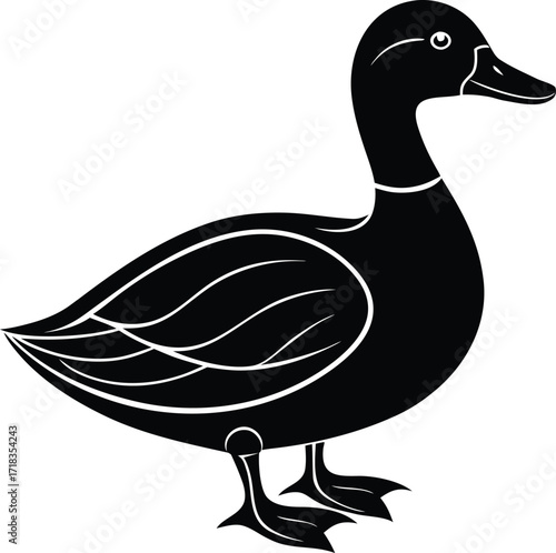 mallard-duck-flat-clean-vector--pastel-background