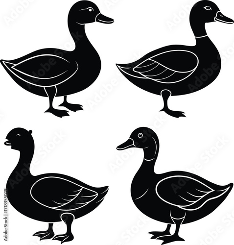 mallard-duck-flat-clean-vector--pastel-background