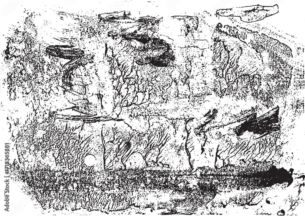 Obraz premium Black and White Artistic Grunge Background Texture