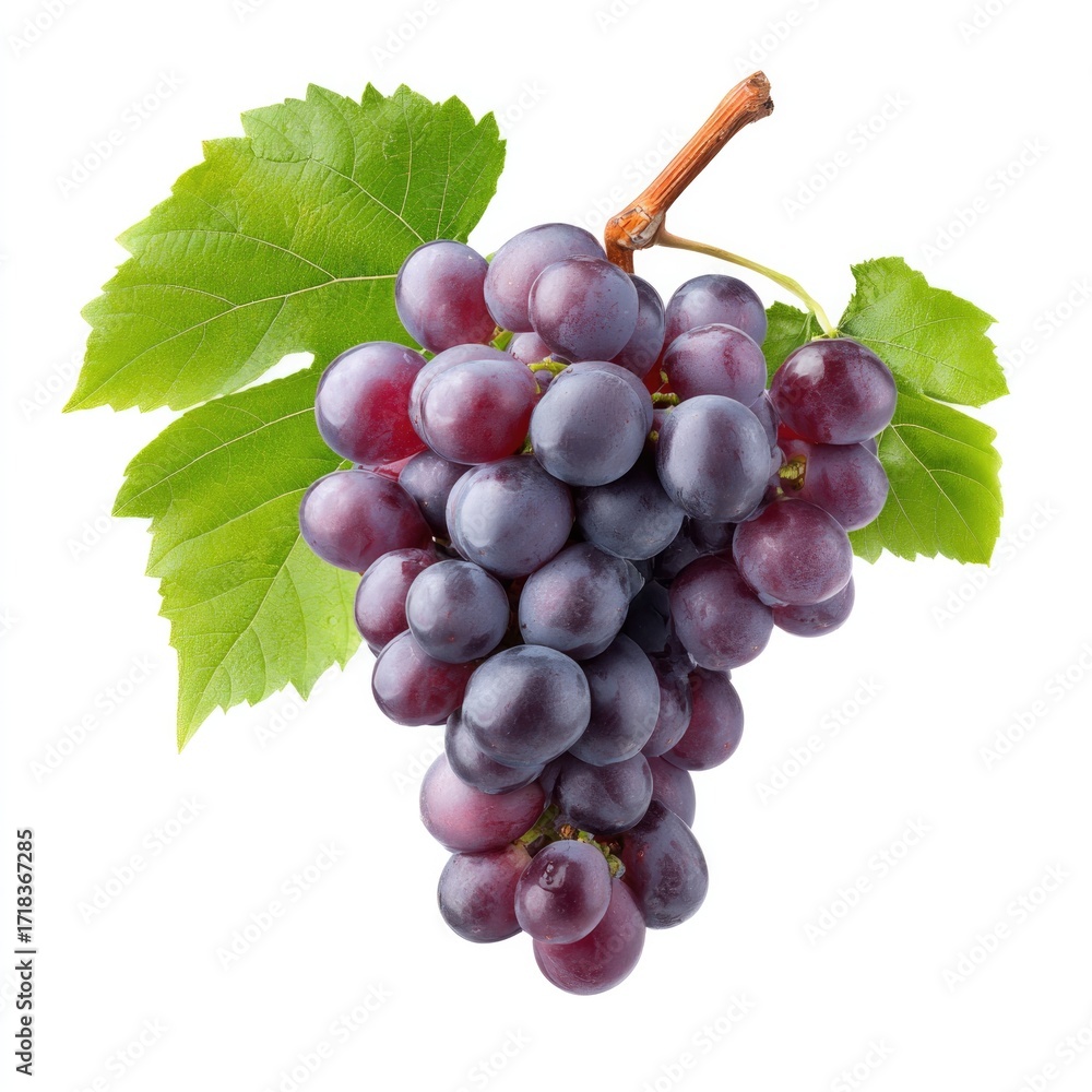 Fototapeta premium Rich purple malbec grapes from argentina isolated on white background for wine and culinary design