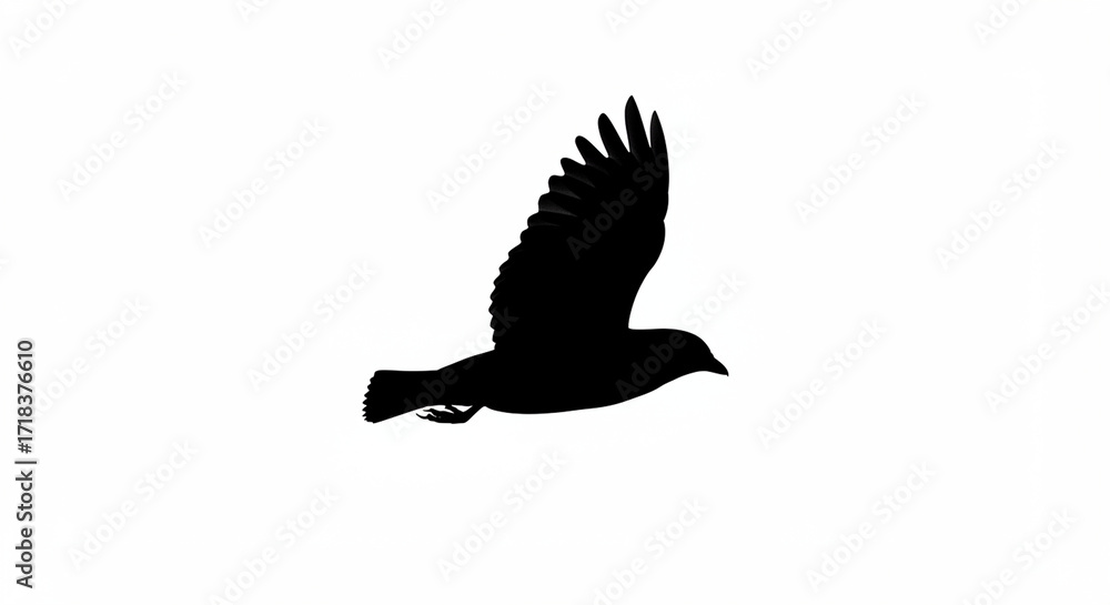 Obraz premium Majestic Silhouette of a Bird in Flight: A Striking Black and White Image Perfect for Design Projects, Graphic Arts, and Creative Visuals. This high-resolution image captures the elegance and free...