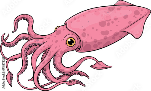 Cartoon pink squid vector illustration with suction cups, marine animal design, underwater creature art for ocean-themed educational and commercial use