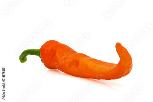 Orange hot pepper pod chili, isolated on white background. Close-up