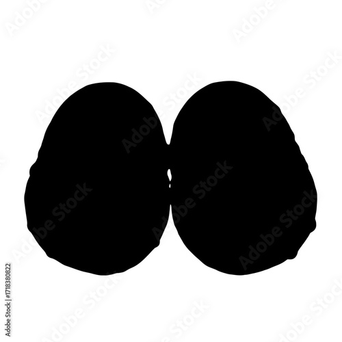 Two avocados are displayed in a stark black silhouette against a white background perfect for minimalist designs and healthy food concepts