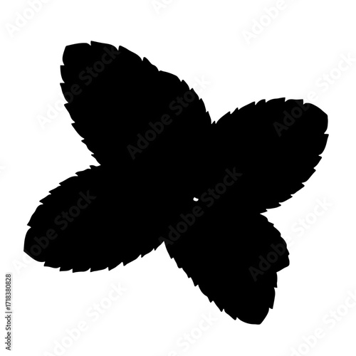 Black silhouette of fresh mint leaves a culinary herb isolated on white perfect for food blogs and herbal remedy guides and design projects
