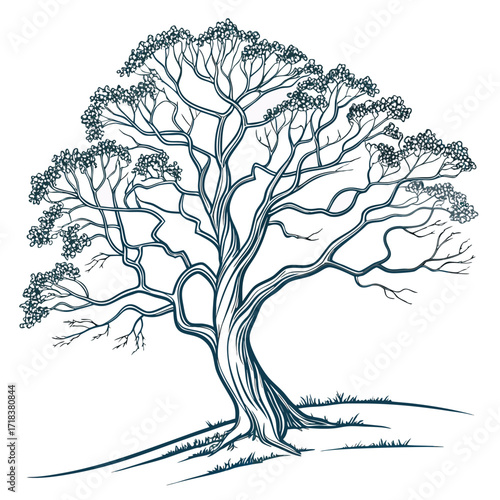 Vector art of detailed sketch of a mature tree with dense foliage and winding branches, standing on a gentle slope, the artwork showcases the beauty and complexity of nature