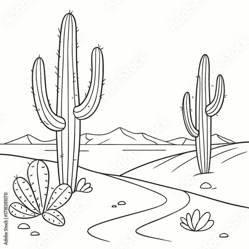 cactus in desert
