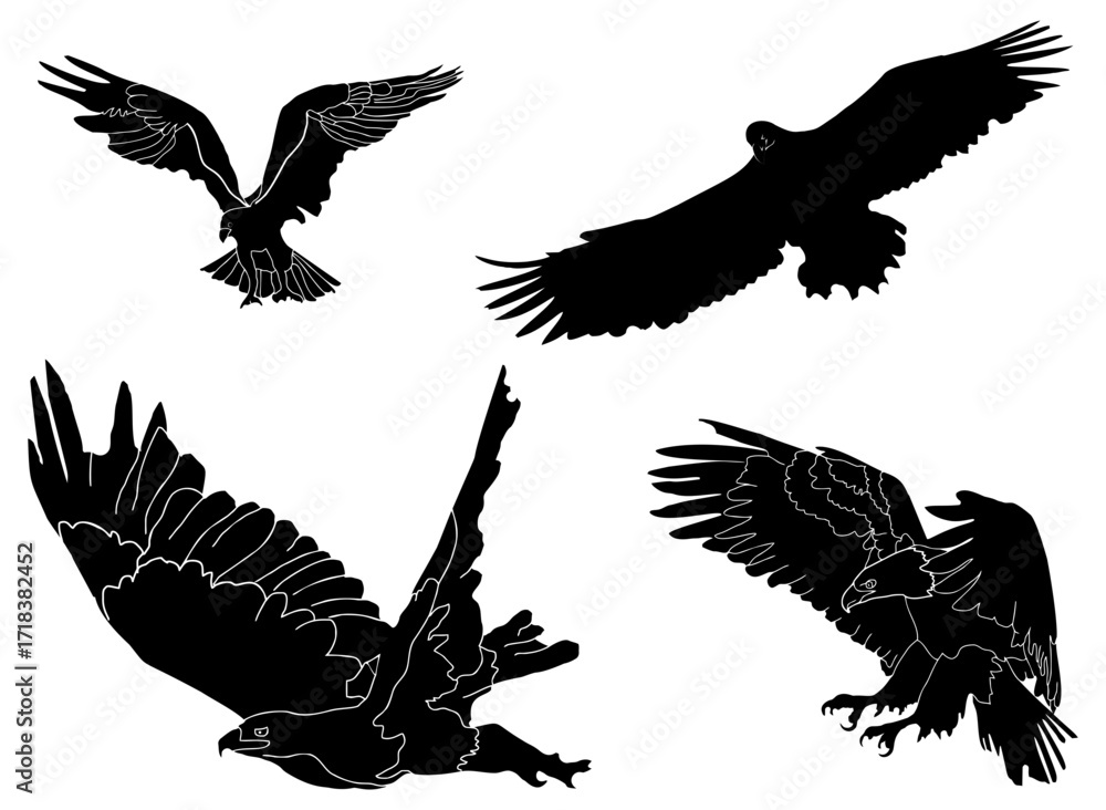 Obraz premium eagle vector illustration