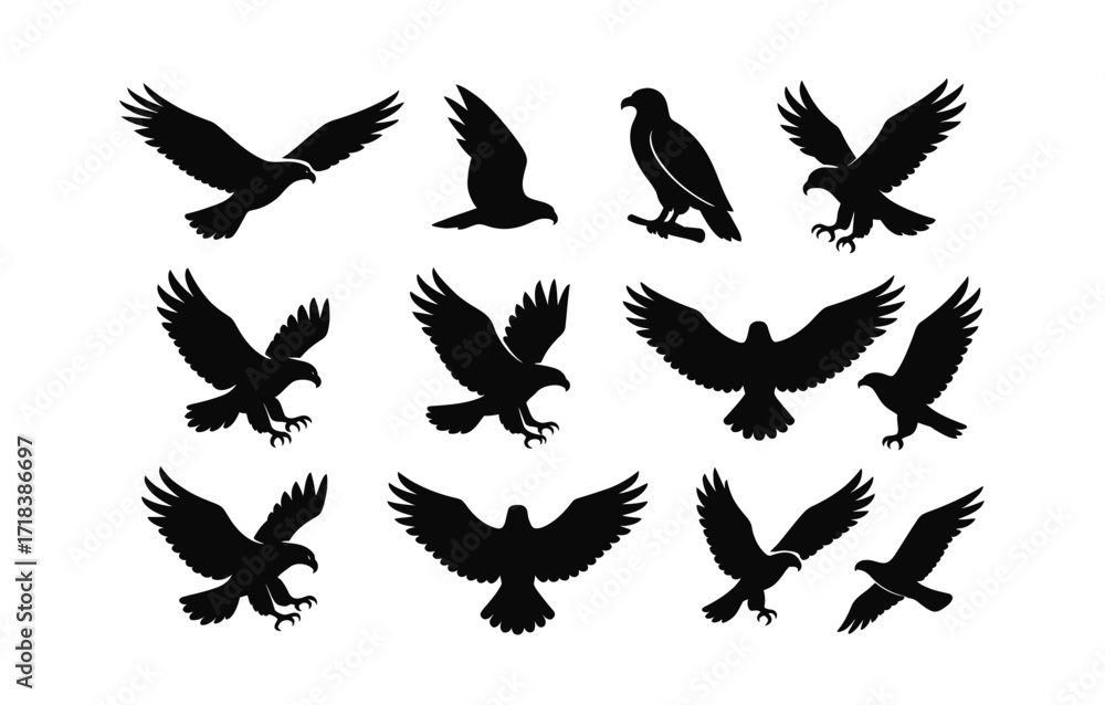 Obraz premium Silhouette birds collection: diverse eagle and hawk poses
