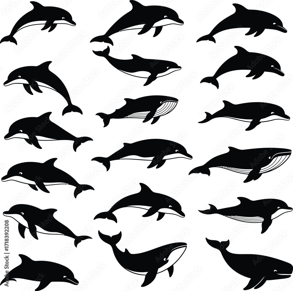 Collection of black silhouette dolphins and whales swimming in various positions on a white background