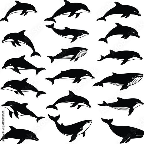 Collection of black silhouette dolphins and whales swimming in various positions on a white background
