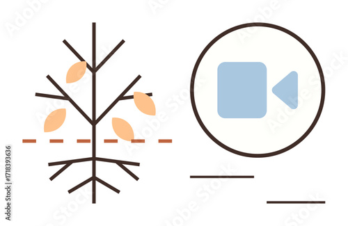 Bare tree with falling leaves symbolizing nature and change, paired with a video camera icon for technology. Ideal for nature, technology, ecology, media, growth, seasons education. Simple flat