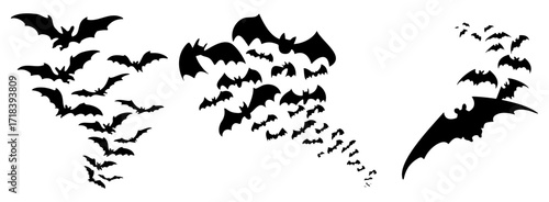 vector silhouette of a bat