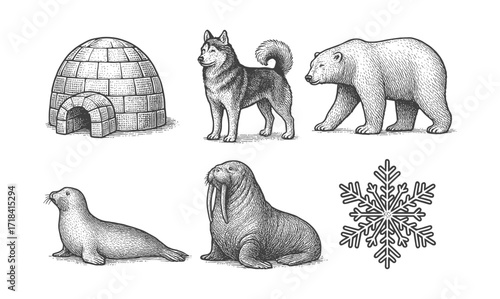 Monochrome arctic animals and igloo with detailed snowflake design