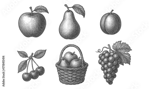 Hand-drawn vintage collection of fruits featuring apple, pear, and grapes