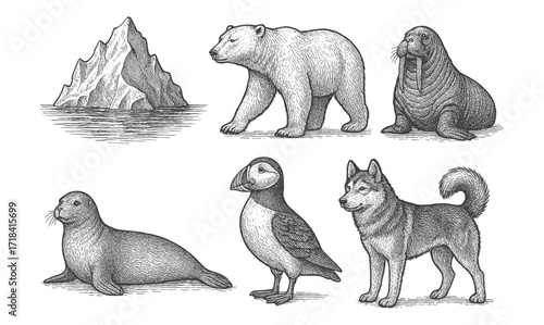 Hand-drawn arctic wildlife and landscape with iceberg