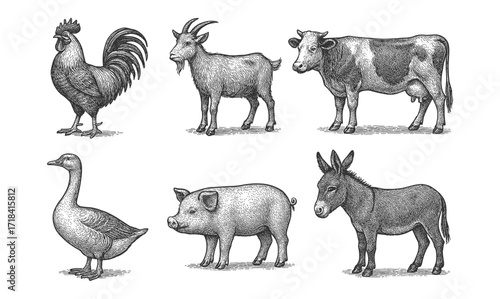 Hand-drawn farm animals collection: rooster, goat, cow, goose, pig, donkey